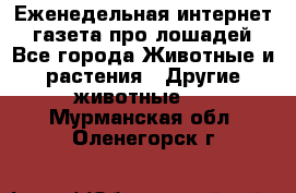 Еженедельная интернет - газета про лошадей - Все города Животные и растения » Другие животные   . Мурманская обл.,Оленегорск г.